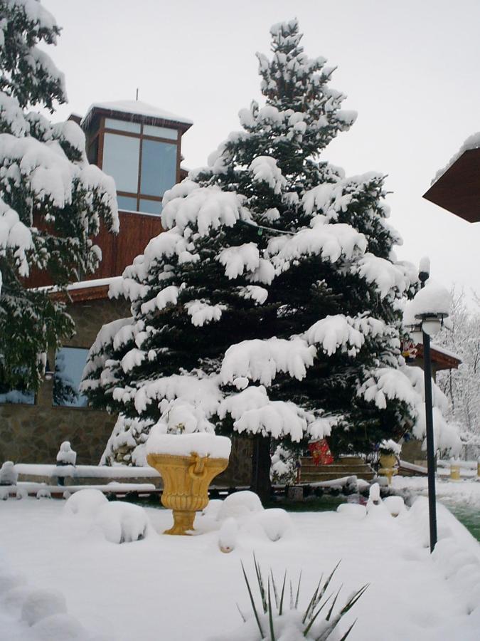 Хотел Галина Палас Srem Exteriér fotografie